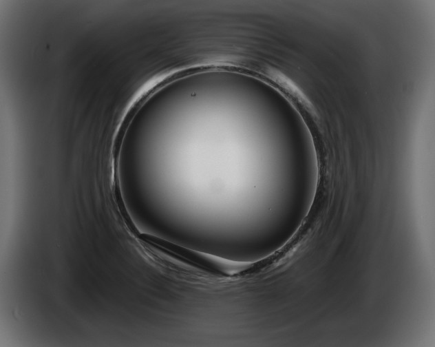 X0000085051324200703051407