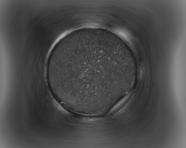 X0000085051326200703051407