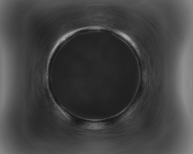 X0000085051327200703051407