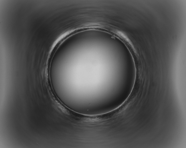 X0000085051328200703051407