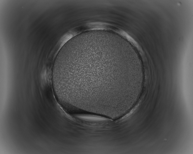 X0000085051329200703051407