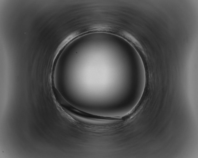 X0000085051330200703051407