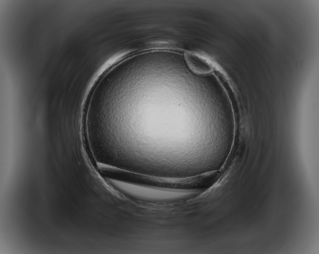 X0000085051333200703051407