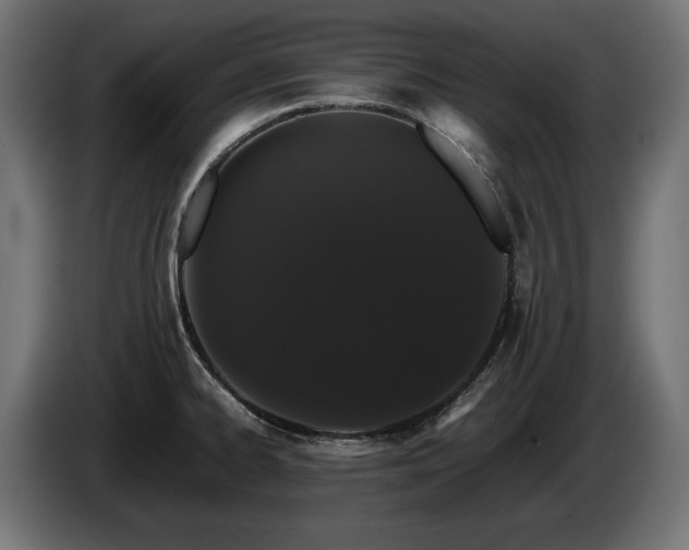 X0000085051334200703051407