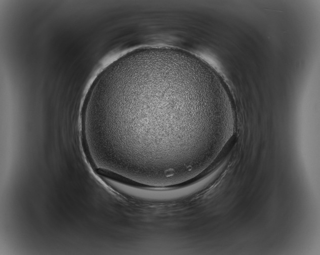 X0000085051335200703051407