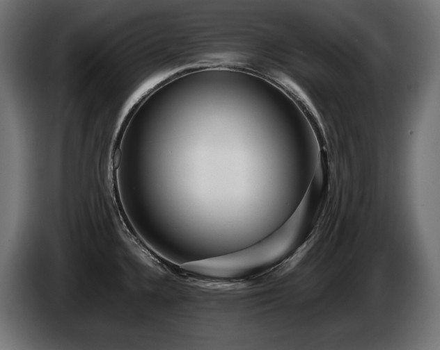 X0000085051336200703051407