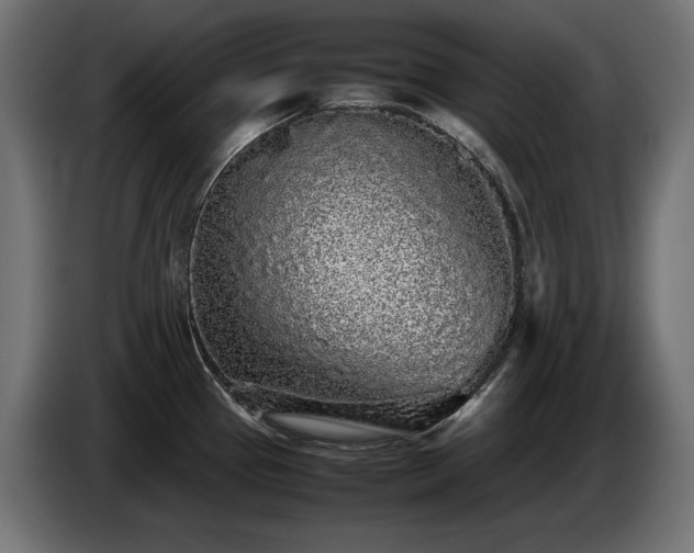 X0000085051337200703051407