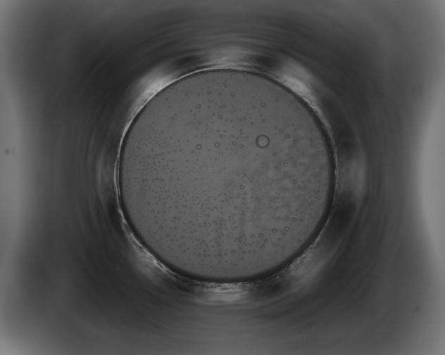 X0000085051338200703051407