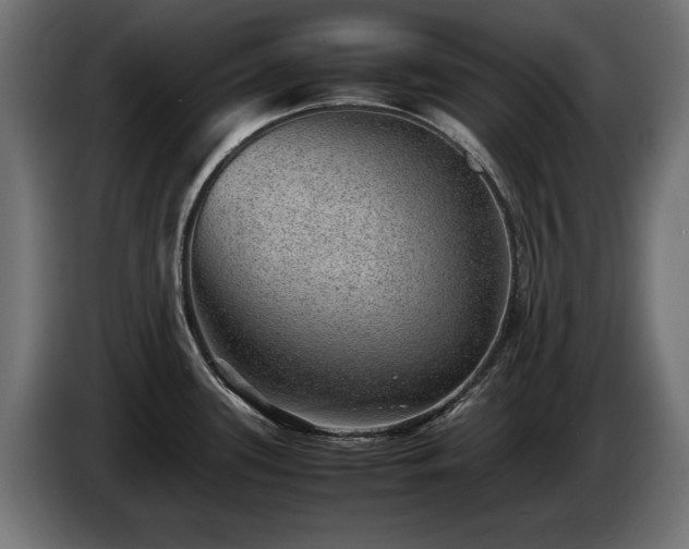 X0000085051339200703051407