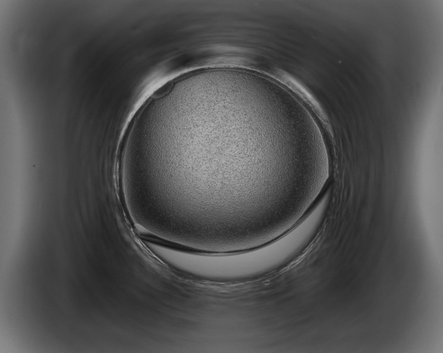 X0000085051340200703051407