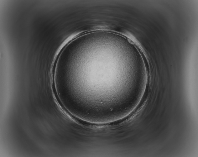 X0000085051341200703051407
