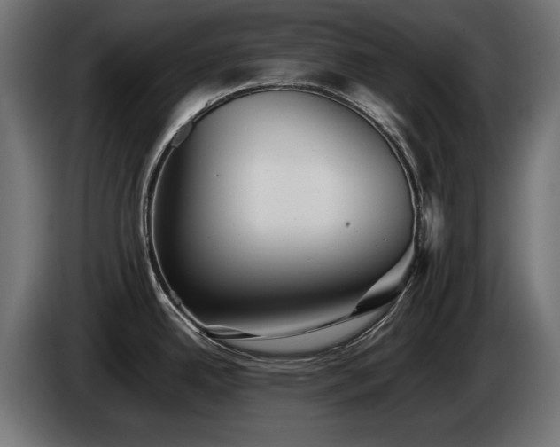X0000085051342200703051408