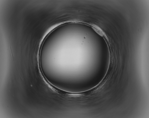 X0000085051343200703051408