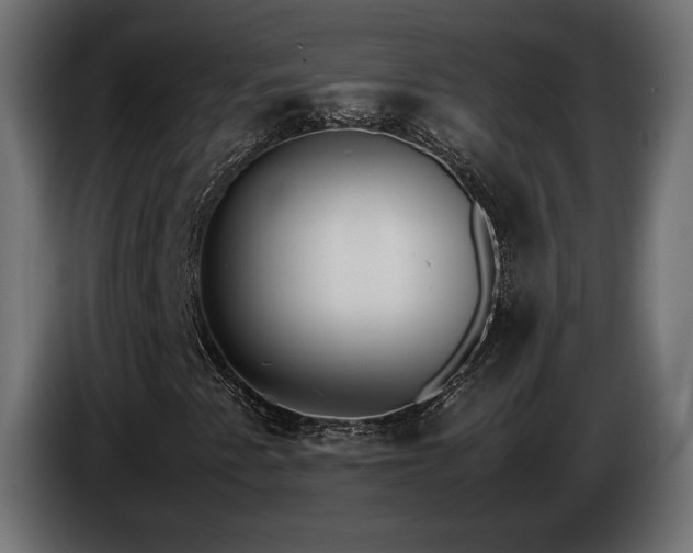 X0000085051345200703051407