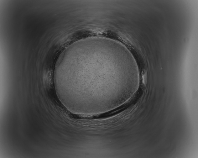X0000085051347200703051407