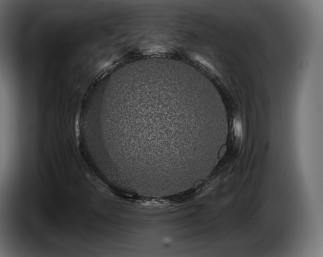 X0000085051348200703051406