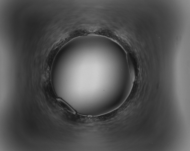 X0000085051349200703051406