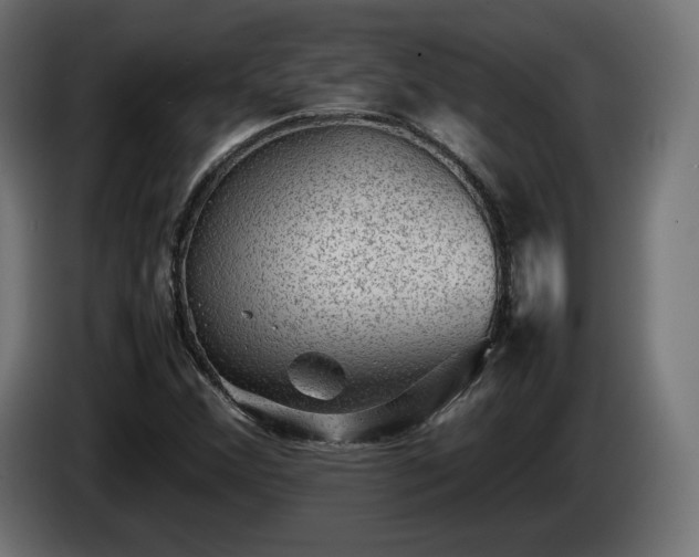 X0000085051356200703051406