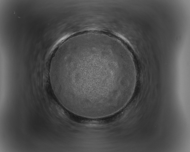 X0000085051359200703051406