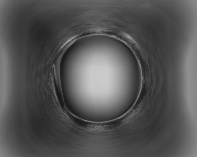 X0000085051361200703051406