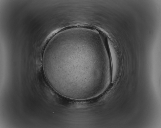 X0000085051363200703051406