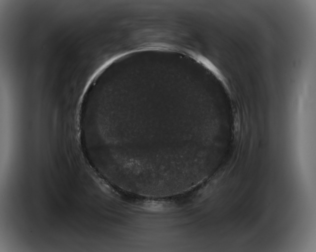 X0000085051364200703051406