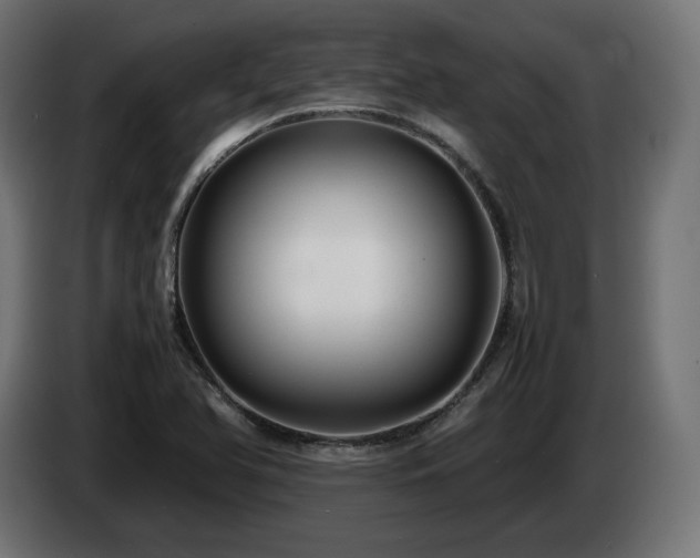 X0000085051366200703051406