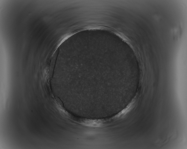 X0000085051369200703051406