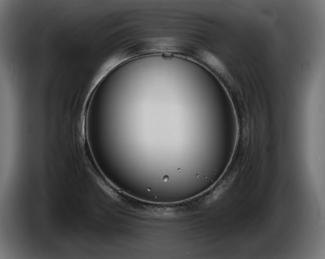 X0000085051370200703051406