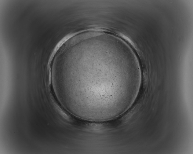 X0000085051371200703051406