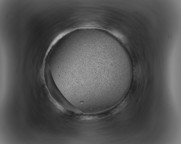 X0000085051374200703051406
