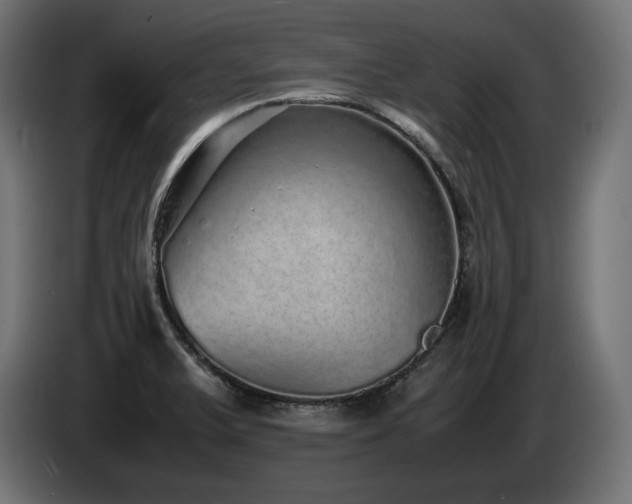 X0000085051375200703051406