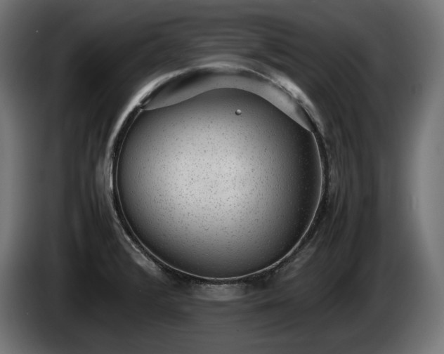 X0000085051376200703051406