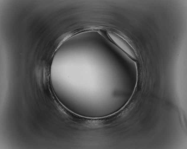 X0000085051377200703051406