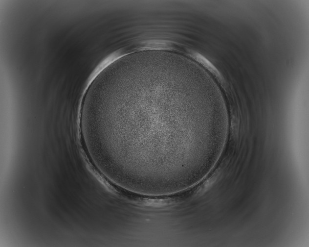 X0000085051378200703051406