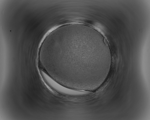 X0000085051379200703051406
