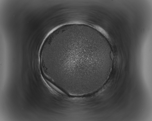 X0000085051380200703051406