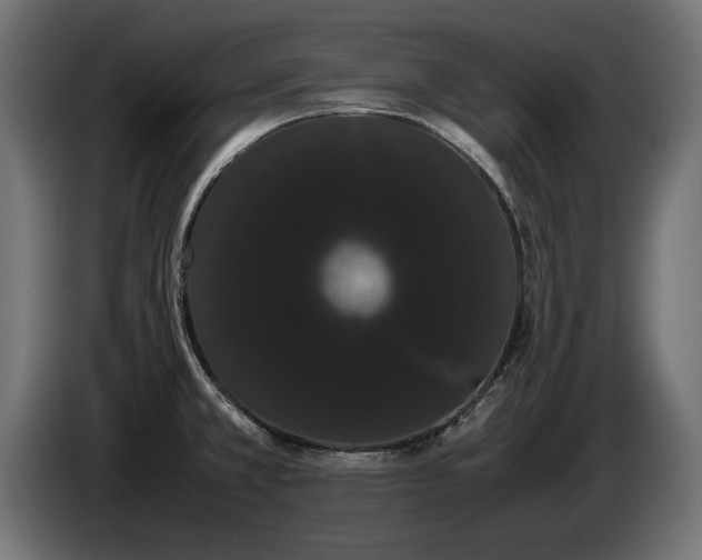 X0000085051381200703051406