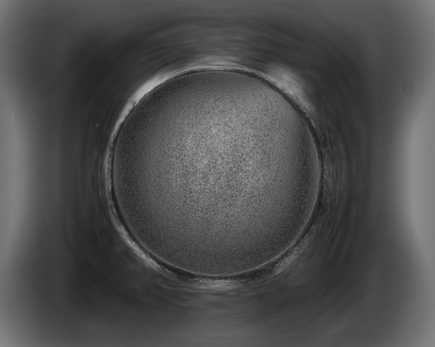X0000085051382200703051406