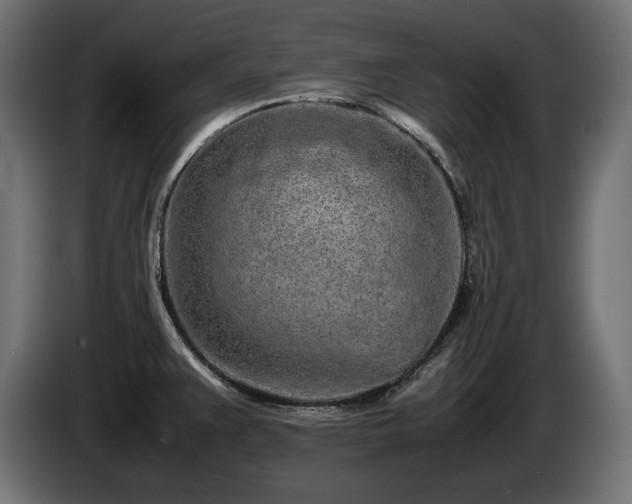 X0000085051383200703051406