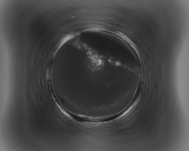 X0000085051385200703051406