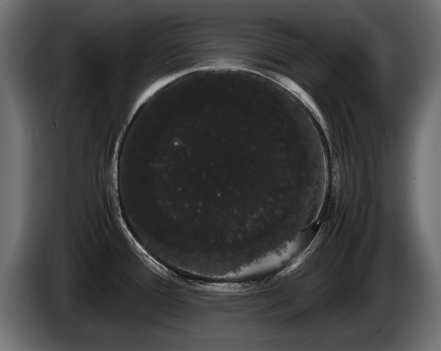 X0000085051388200703051406