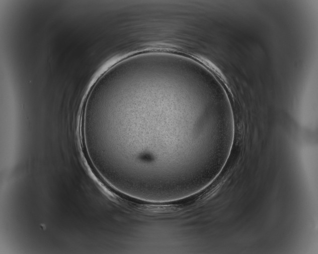 X0000085051391200703051406