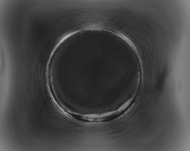 X0000085051392200703051406