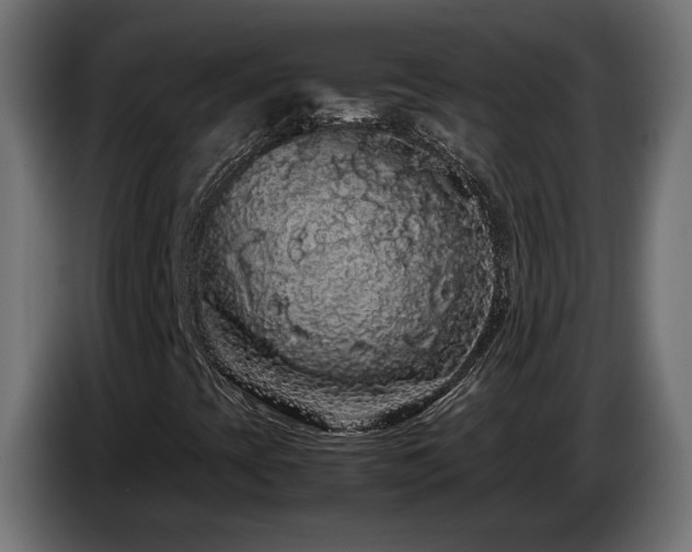 X0000085051393200703051405