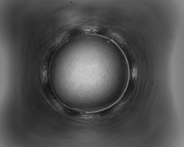 X0000085051396200703051405