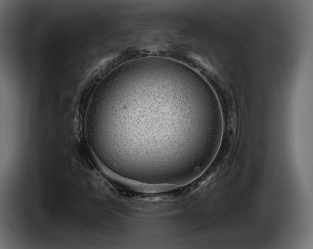 X0000085051398200703051405