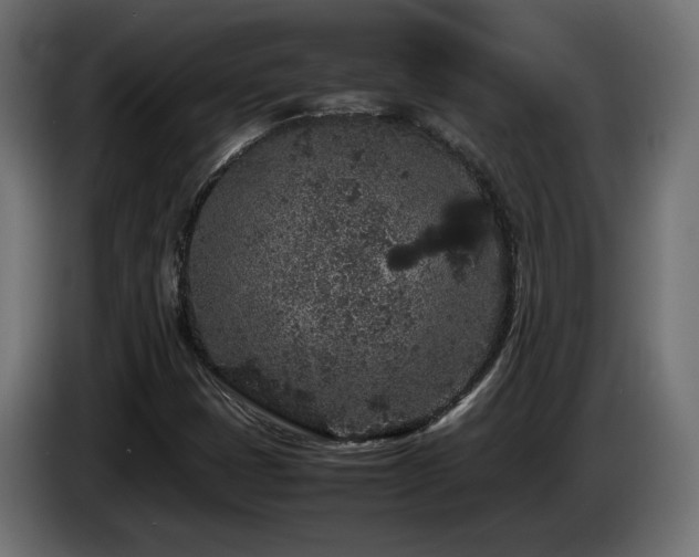 X0000085051401200703051405