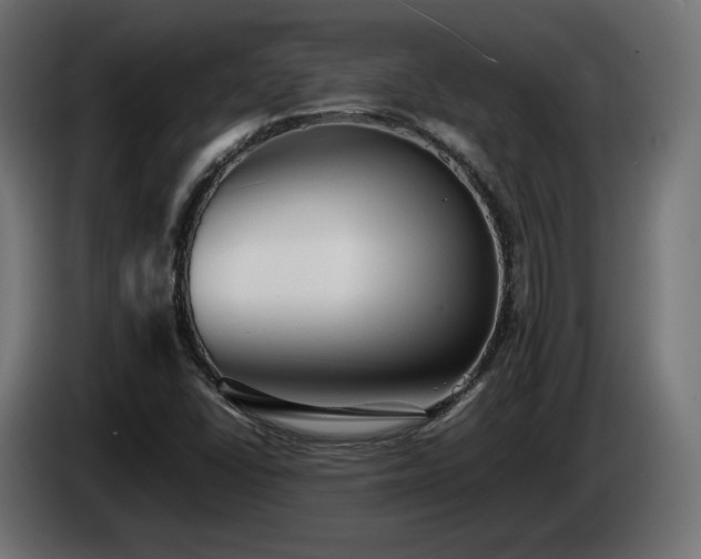 X0000085051406200703051405