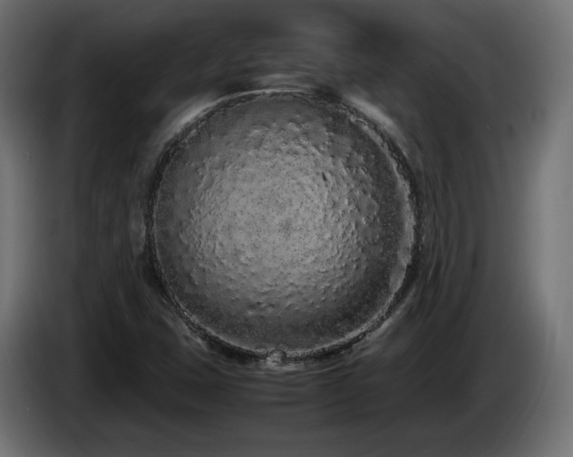 X0000085051407200703051405